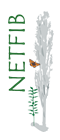 NETFIB Logo